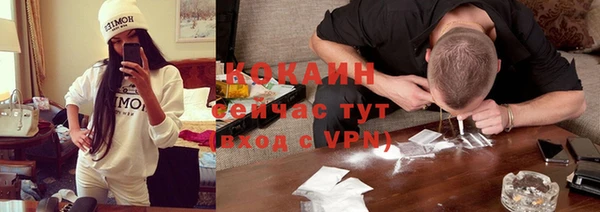 mdpv Богданович