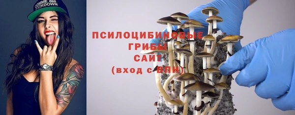 mdpv Богданович