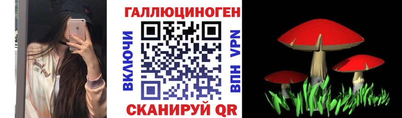 цены наркотик Гудермес Галлюциногенные грибы MAGIC MUSHROOMS