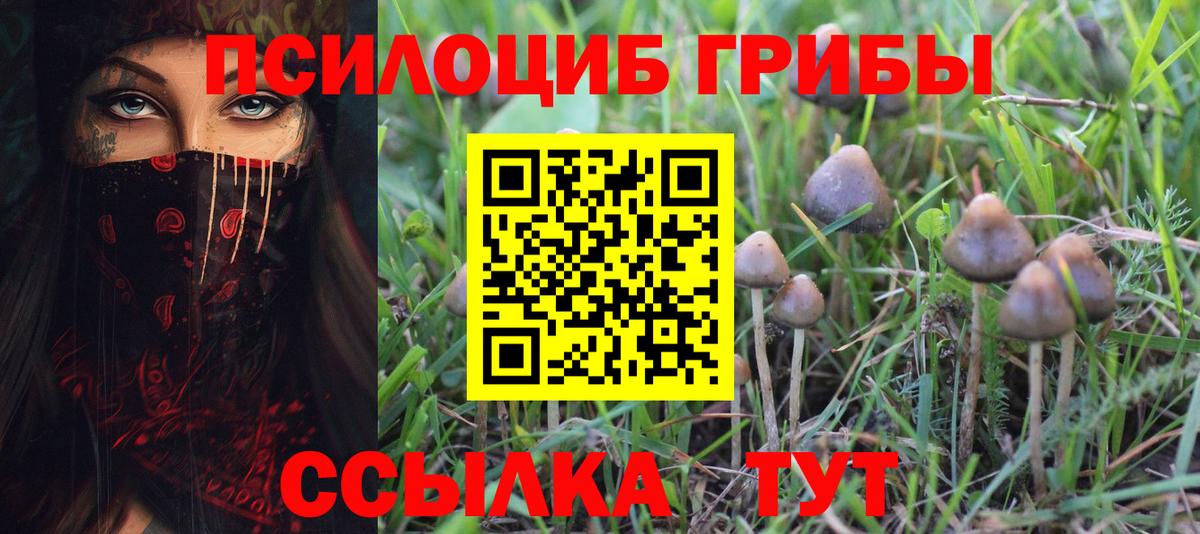 Псилоцибиновые грибы MAGIC MUSHROOMS  Галлюциногенные грибы MAGIC MUSHROOMS  Гудермес  Вход с VPN 